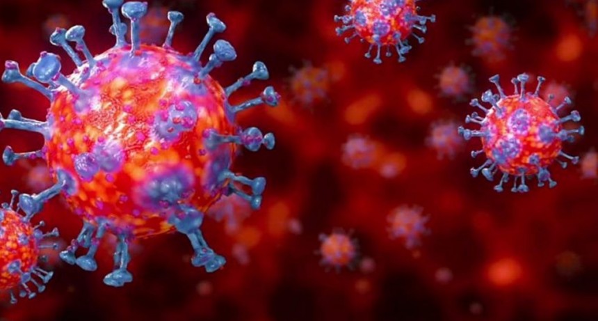 Villa &Aacute;ngela: EL PARTE EPIDEMIOL&Oacute;GICO INFORM&Oacute; 1 NUEVO CASO EN LA LOCALIDAD SUMANDO UN TOTAL DE 1.697 CASOS DE CORONAVIRUS