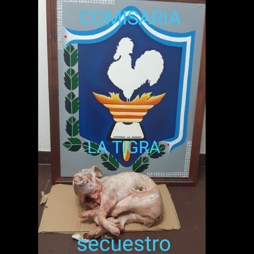 La Tigra: DENUNCIAN EL ROBO DE UN LECH&Oacute;N, EL PERSONAL LOGRA EL RECUPERO Y LOS RESPONSABLES YA SE ENCONTRABAN DETENIDOS POR OTRA CAUSA