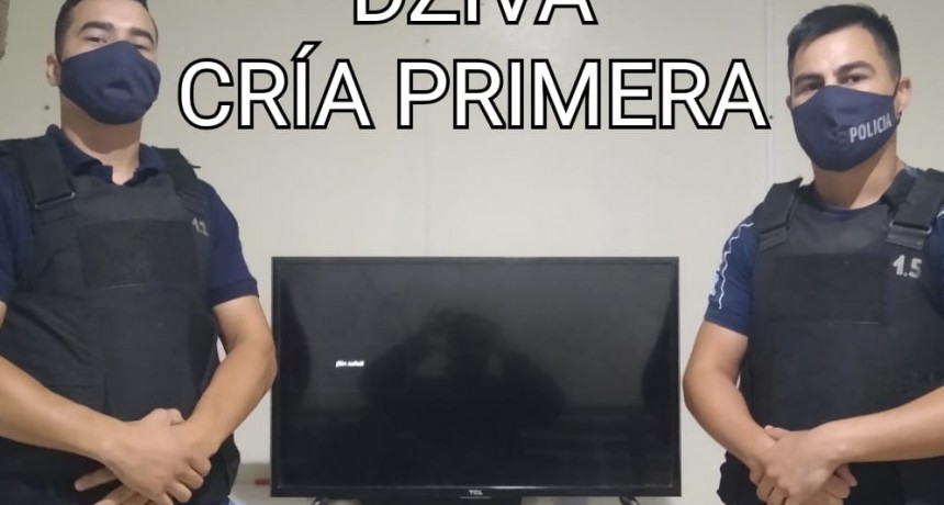 Villa &Aacute;ngela: RECUPERAN UN SMART TV DE 32" ROBADO EN HORAS DE LA MADRUGADA