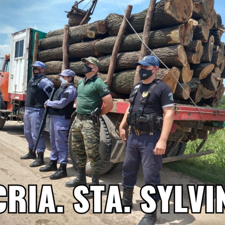 Santa  Sylvina: 4 PERSONAS FUERON DETENIDAS POR SER CONTRAVENTORES Y EXHIBIR IRREGULARIDADES EN LA DOCUMENTACI&Oacute;N DE LA CARGA DE ROLLOS DE ALGARROBO