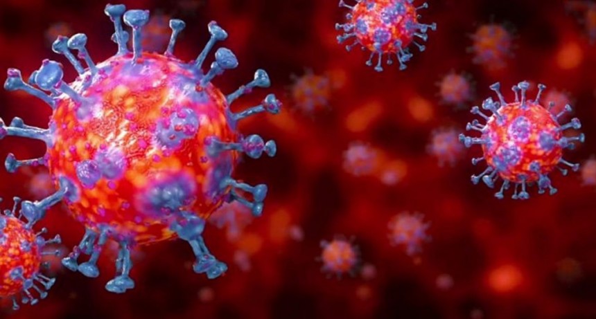 Villa &Aacute;ngela: EL PARTE EPIDEMIOL&Oacute;GICO INFORM&Oacute; 3 NUEVOS CASOS EN LA LOCALIDAD SUMANDO UN TOTAL DE 1.745 CASOS DE CORONAVIRUS