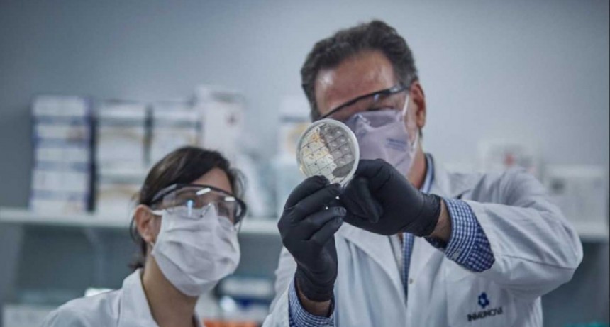 Llegaron al Chaco dosis de suero equino hiperinmune para tratar pacientes con coronavirus