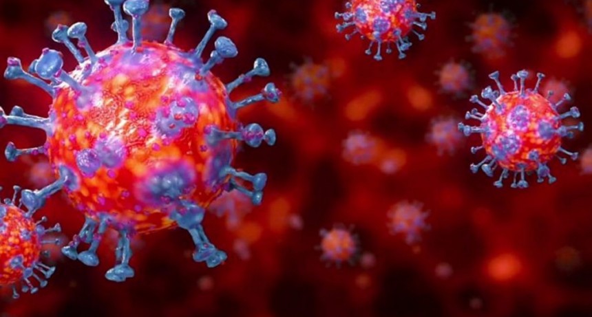 Villa &Aacute;ngela: EL PARTE EPIDEMIOL&Oacute;GICO NO INFORM&Oacute; NUEVOS CASOS EN LA LOCALIDAD, RECATEGORIZANDO Y RE UBICANDO 1 CAS&Oacute; DEJANDO UN TOTAL DE 1.761 