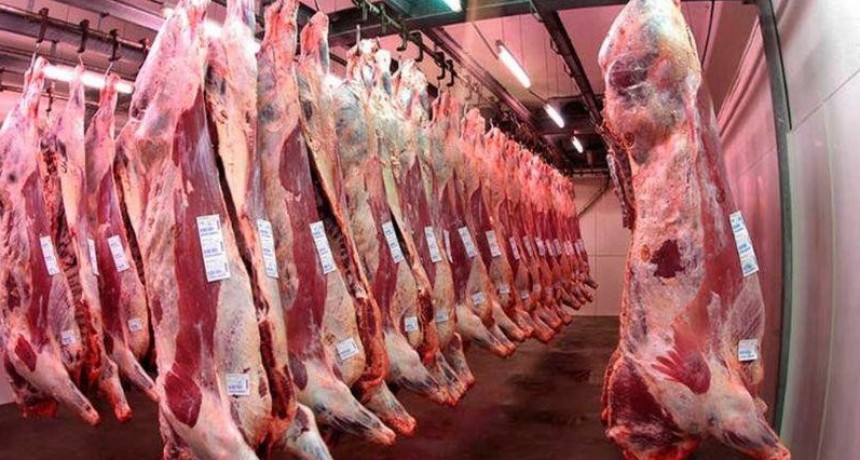 Suspenden hasta 2023 la exportaci&oacute;n de 7 cortes de carne