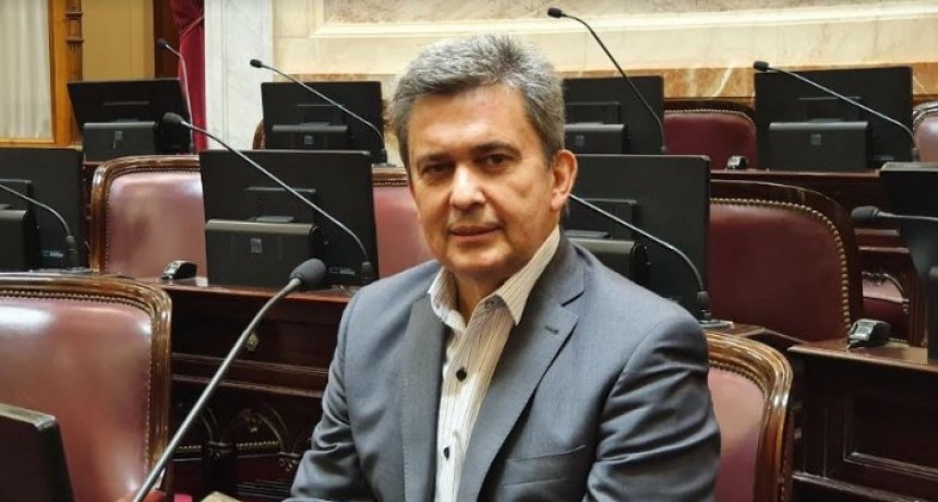 Zimmermann: &ldquo;&iquest;Despu&eacute;s de 14 a&ntilde;os reci&eacute;n est&aacute;n por &lsquo;estudiar&rsquo; el sistema el&eacute;ctrico?&rdquo;