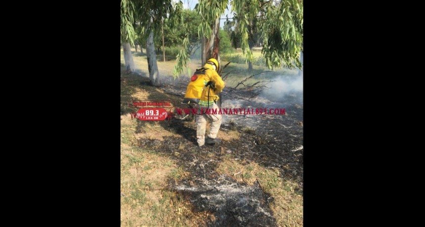 Villa &Aacute;ngela: LA DIVISI&Oacute;N DE BOMBEROS INTERVINO EN UN INCENDIO QUE AFECT&Oacute; UN TERRENO DE 10 X 50mts.