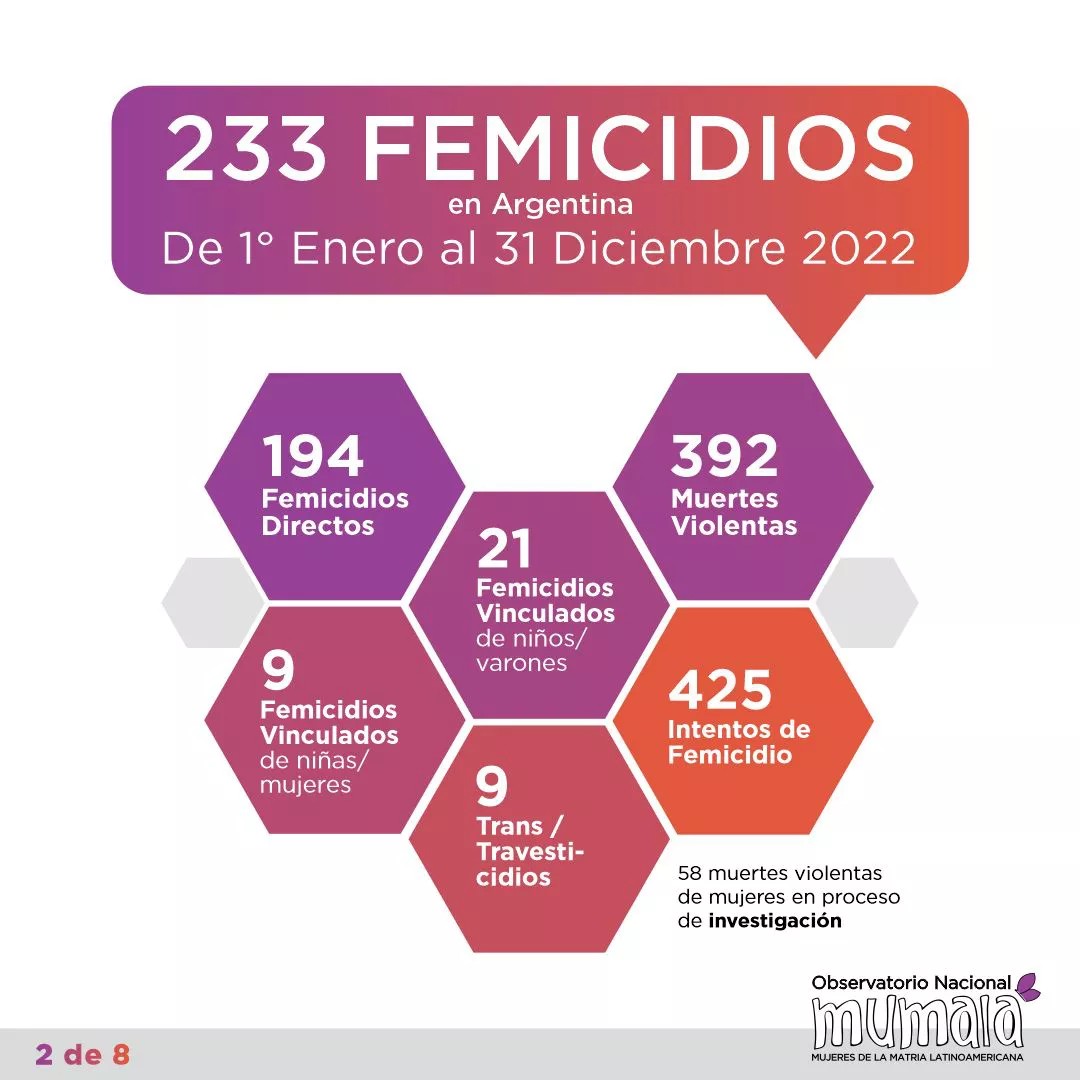 Chaco, la provincia con m&aacute;s femicidios del pa&iacute;s