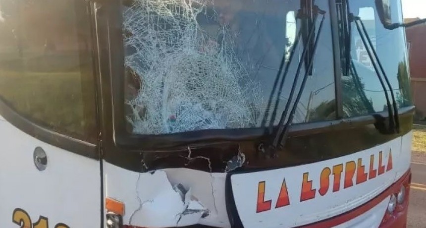 Presidencia de la Plaza: Caminaba por la ruta, lo choc&oacute; un colectivo y muri&oacute;