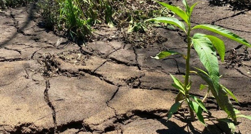 EL 2022 FUE EL OCTAVO A&Ntilde;O M&Aacute;S SECO DE LA HISTORIA 