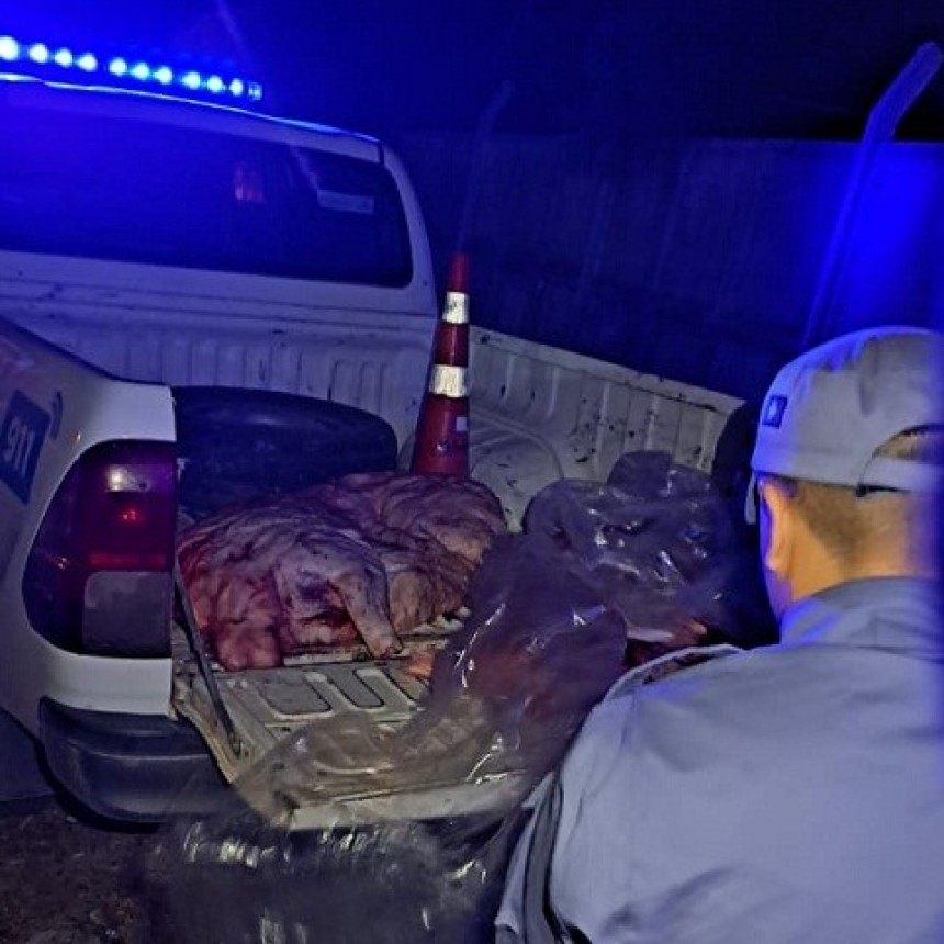 Chorotis: SECUESTRAN CARNE PORCINA NO APTA PARA EL CONSUMO