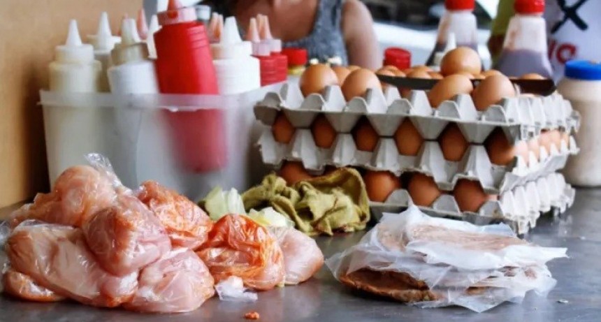 Shigella y Salmonella: C&Oacute;MO EVITAR LAS BACTERIAS