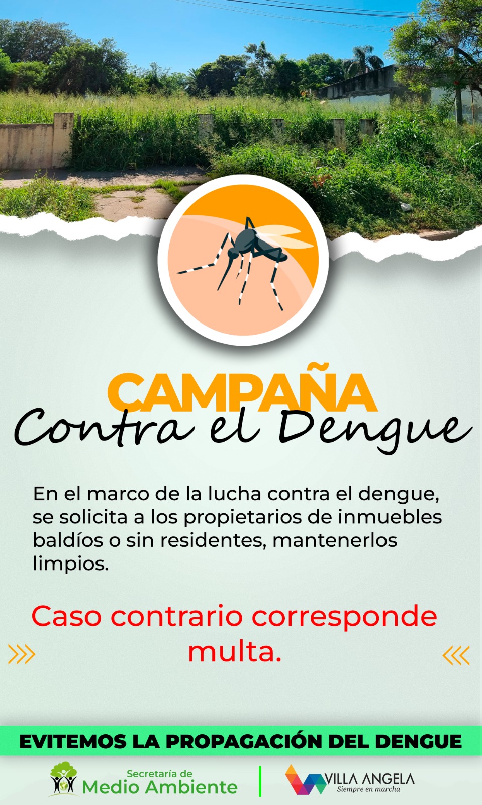 Villa &Aacute;ngela: CAMPA&Ntilde;A CONTRA EL DENGUE