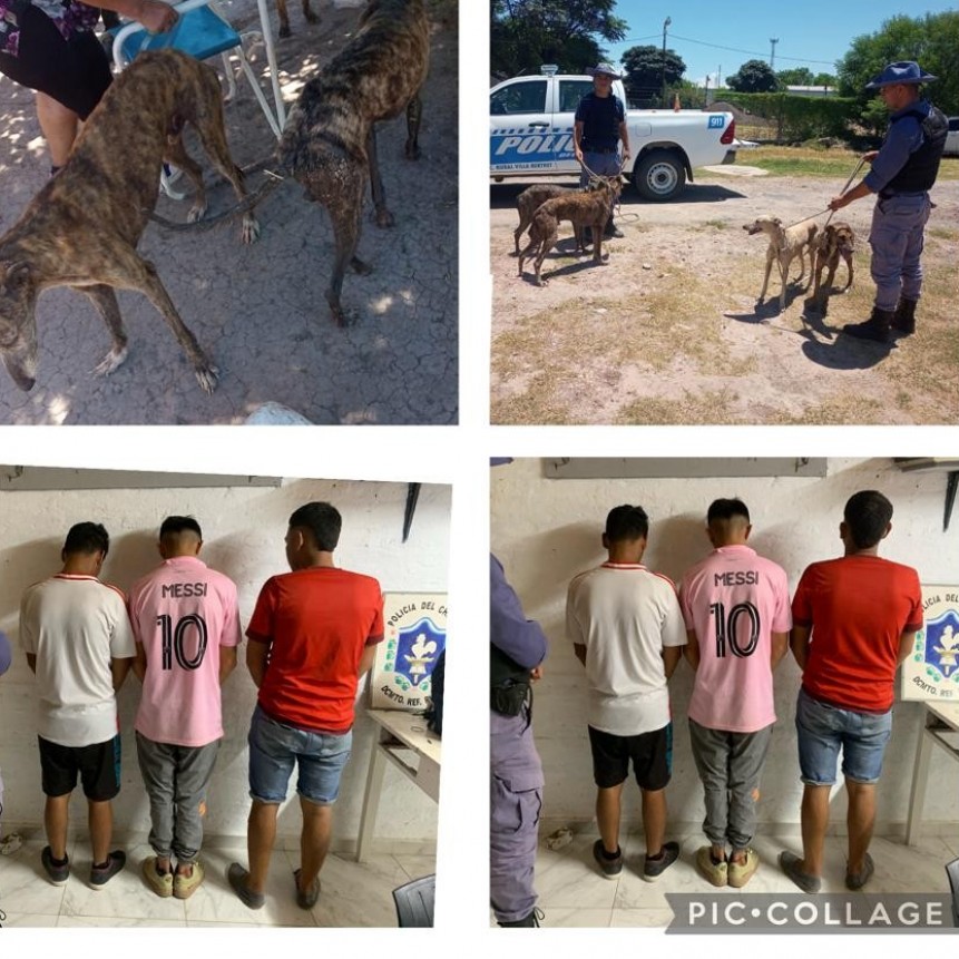 Villa Berthet: SECUESTRAN 4 PERROS Y CONDUCEN A 4 MASCULINOS DE UN CAMPO UBICADO EN EL LOTE 3