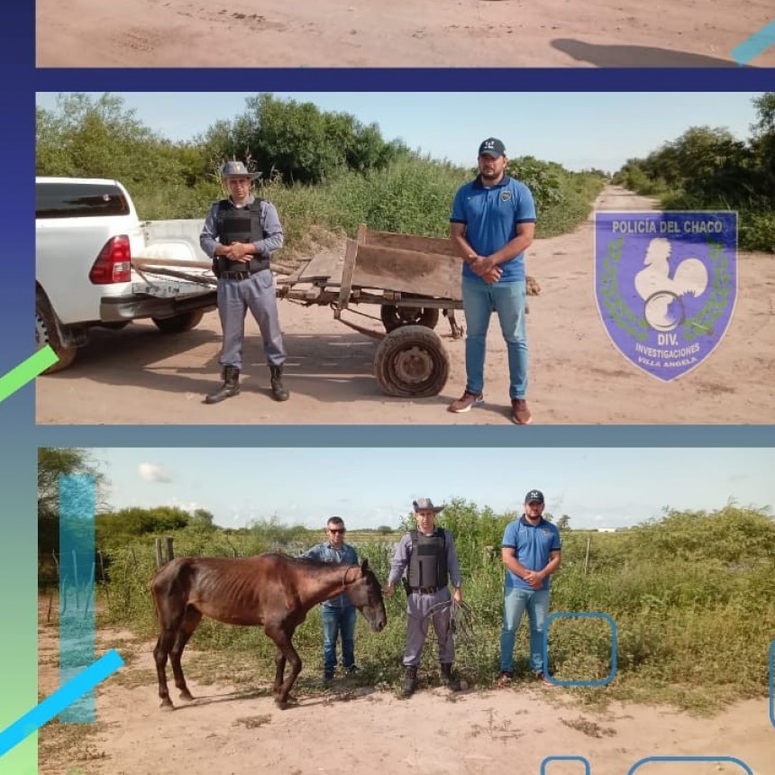 Villa &Aacute;ngela: SUSTRAJERON UN CARRO CON CABALLO Y LA POLIC&Iacute;A LOS RECUPERO