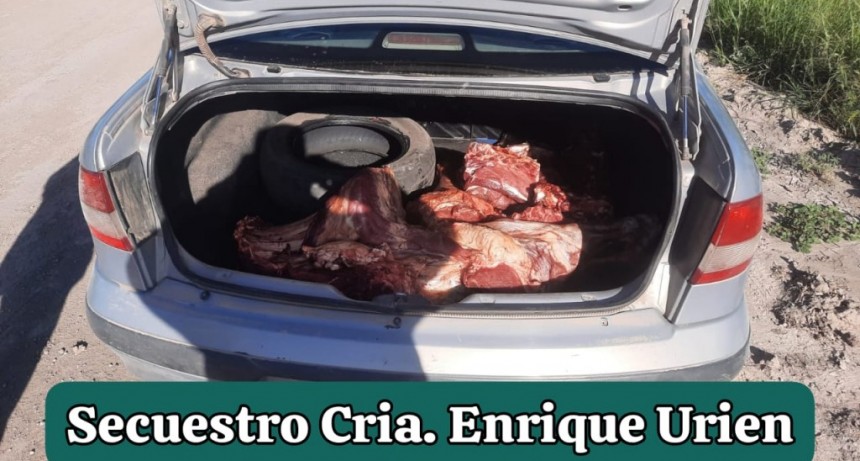 Enrique Urien: DETIENEN A DOS MASCULINOS POR EL HURTO DE UN ANIMAL VACUNO Y LES SECUESTRAN 40 KILOS DE CARNE 