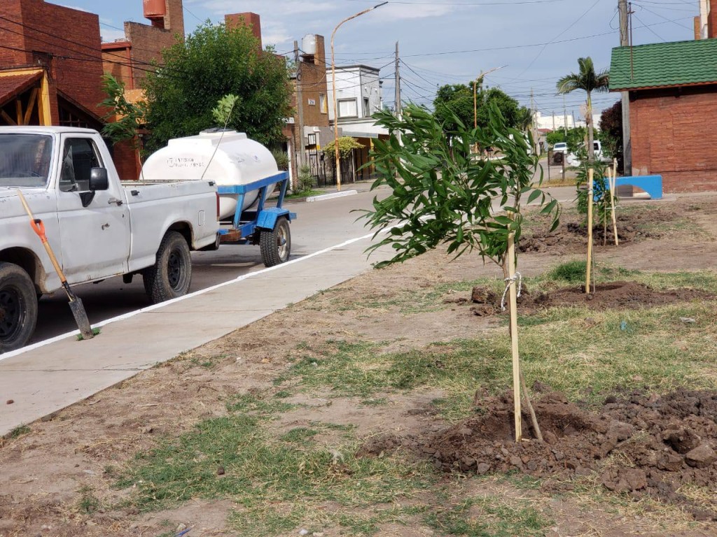 Villa Ángela: LA MUNICIPALIDAD  AVANZA CON LA FORESTACIÓN Y PARQUIZACIÓN EN LA PLAZA DEL BARRIO CÁMARA DE COMERCIO