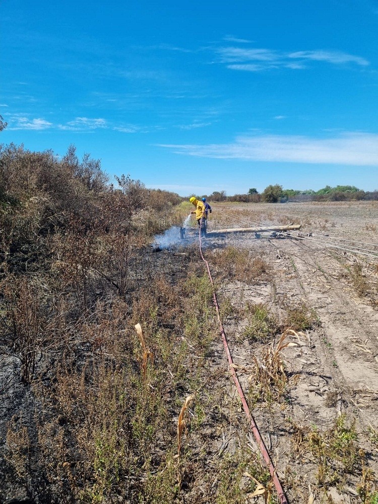 Villa Ángela, Lote 42: BOMBEROS EXTINGUIÓ UN INCENDIO DE PASTISALES  SOBRE RUTA Nº95 DONDE SE QUEMAN POSTES DEL TENDIDO ELÉCTRICO