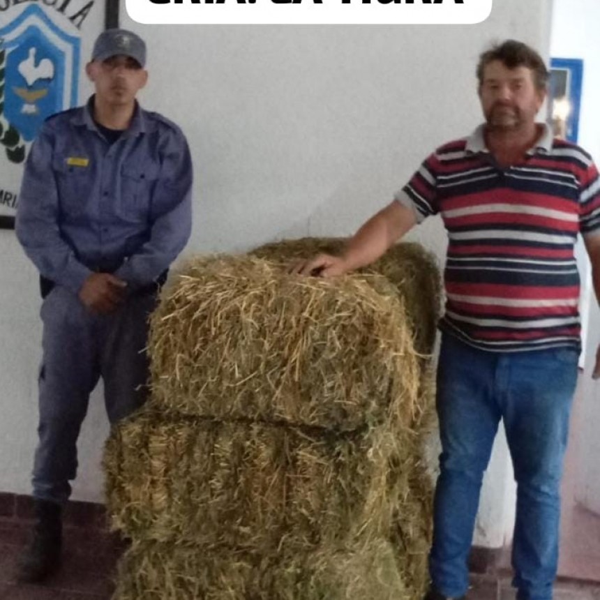 La Tigra: DETIENEN A DOS MENORES POR SUSTRAER 6 FARDOS DE ALFALFA Y COMERCIALIZARLOS EN LA V&Iacute;A P&Uacute;BLICA