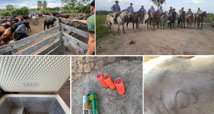 ENRIQUE URIEN: LA DIVISI&Oacute;N RURAL REALIZ&Oacute; ALLANAMIENTOS EN DIFERENTES CAMPOS Y SECUESTRARON ANIMALES Y CARTUCHOS