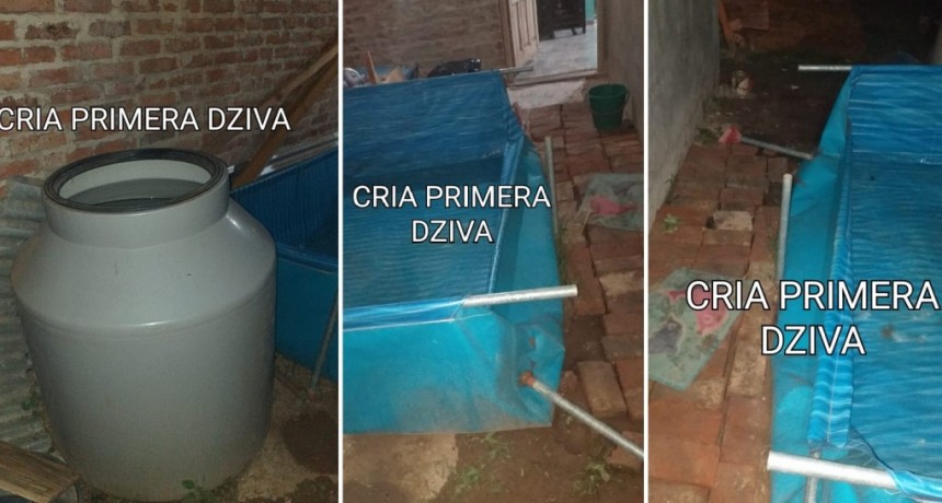Villa &Aacute;ngela: DETUVIERON A DOS PERSONAS TRAS UNA TENTATIVA DE ROBO A UN DOMICILIO