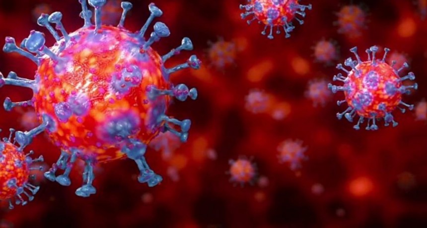 Villa &Aacute;ngela: EL PARTE EPIDEMIOL&Oacute;GICO INFORM&Oacute; 3 NUEVOS CASOS EN LA LOCALIDAD SUMANDO UN TOTAL DE 1.805 CASOS DE CORONAVIRUS
