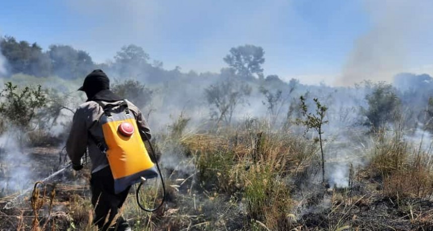 Villa &Aacute;ngela: UN INCENDIO CONSUMI&Oacute; 05 HECT&Aacute;REAS DE CAMPO EN EL PARAJE "LOS FORTINES"