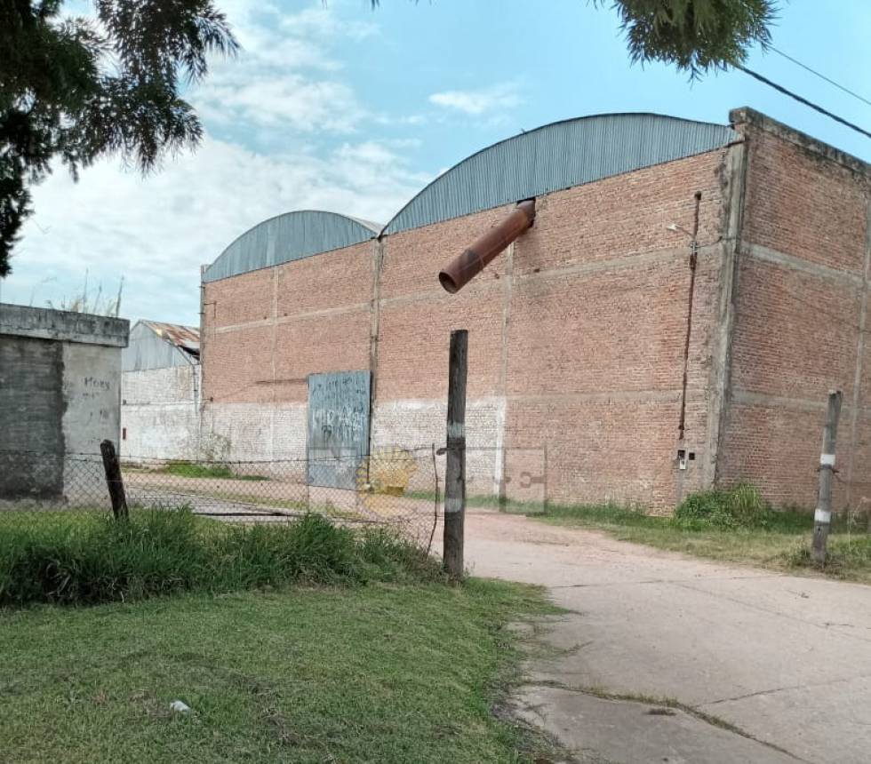 Atacaron a golpes a la Intendente de La Tigra