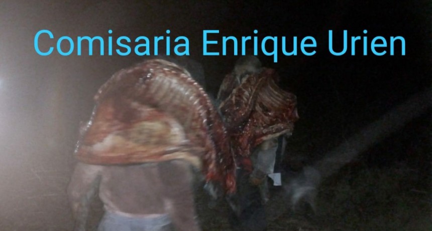 Enrique Urien: DETIENEN A 5 VILLANGELENSES POR HURTO DE GANADO MENOR EN UN CAMPO DE LA VIRUELA