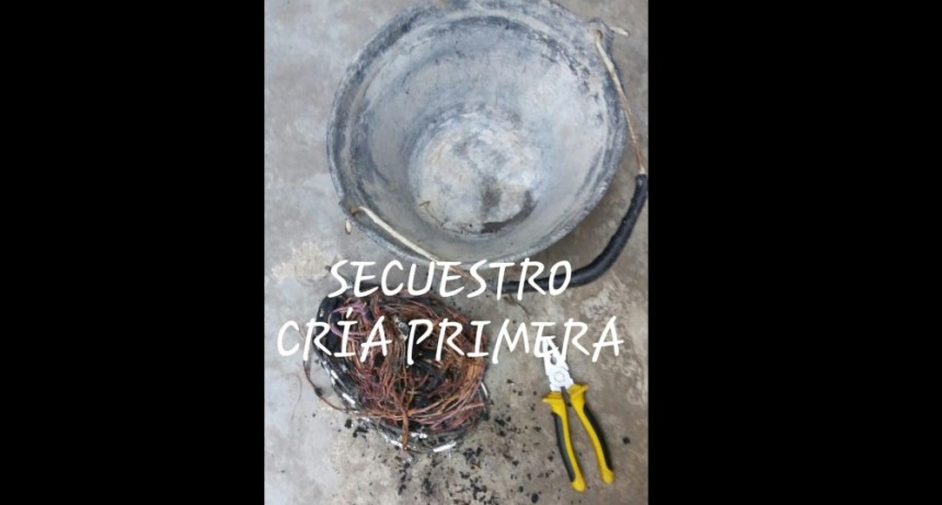 Villa &Aacute;ngela: DETUVIERON A DOS HOMBRES POR EL ROBO DE CABLES DE COBRE
