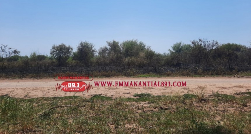 Villa &Aacute;ngela: INCENDIO EN EL ACCESO OESTE DE LA LOCALIDAD AFECTA UNA SUPERFICIE DE 30 MIL Mts2.