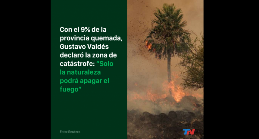 En Corrientes se est&aacute;n incendiando unas 30.000 hect&aacute;reas por d&iacute;a y el escenario es dram&aacute;tico: llamas sin control, fauna en fuga y tierra arrasada. 