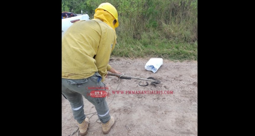 Villa &Aacute;ngela: APARECI&Oacute; UNA CULEBRA CAUSANDO TEMOR EN VECINOS | LA DIVISI&Oacute;N DE BOMBEROS LA CAPTUR&Oacute;