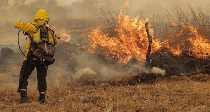 Los incendios "se redujeron un 30%" en Corrientes