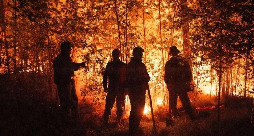 Se redujeron un 70% los incendios en Corrientes