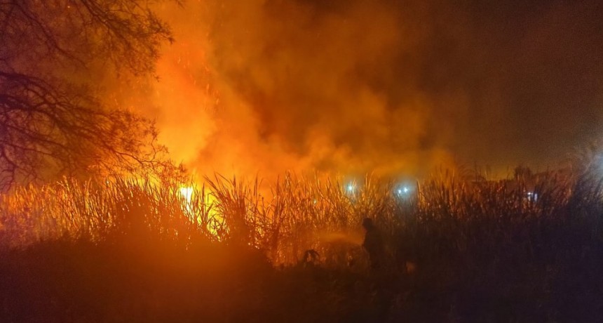 Villa &Aacute;ngela: INCENDIO DE PASTIZALES CONVOC&Oacute; LA PRESENCIA DE LOS BOMBEROS EN LA NOCHE DEL MARTES