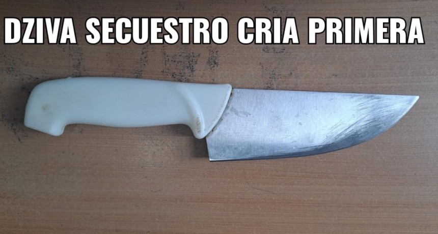 Villa &Aacute;ngela: ROB&Oacute; UN CELULAR A PUNTA DE CUCHILLO Y DEJ&Oacute; EL ARMA EN EL LUGAR