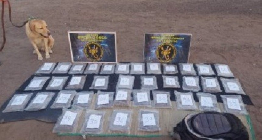 La Leonesa: GRACIAS AL PERRO BALTON, DETECTARON UNA PASAJERA DE UN MICRO CON MARIHUANA