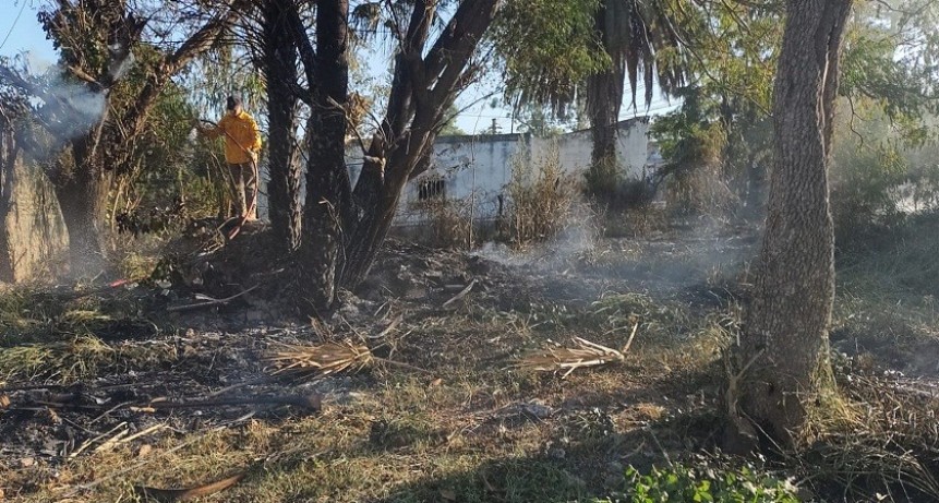 Villa &Aacute;ngela: UN NUEVO INCENDIO DE PASTOS Y PALMERAS PROVOCO LA AFECTACI&Oacute;N DE 300 m? DE UN  TERRENO BALD&Iacute;O  