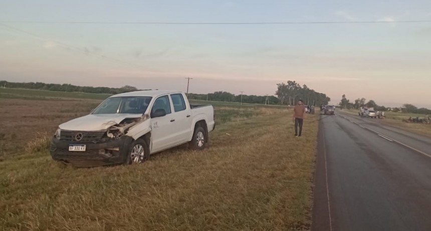 Villa Berthet: UNA CAMIONETA COLISION&Oacute; CONTRA UN EQUINO, EL ANIMAL PERDI&Oacute; LA VIDA