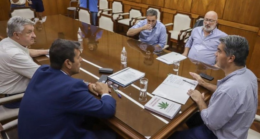 ARTICULAN MEDIDAS PARA REGULAR LA PRODUCCI&Oacute;N DE CANNABIS MEDICINAL Y C&Aacute;&Ntilde;AMO INDUSTRIAL EN EL CHACO