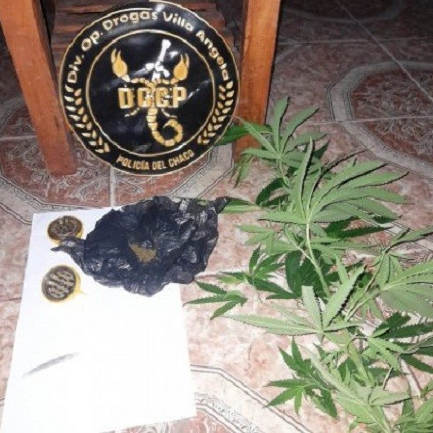 Villa &Aacute;ngela: SECUESTRO DE PLANTA DE MARIHUANA Y DOS ESCOPETAS