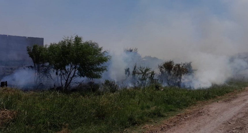 Villa &Aacute;ngela: INCENDIO DE PASTIZALES FUE EXTINGUIDO POR LA DIVISI&Oacute;N DE BOMBEROS