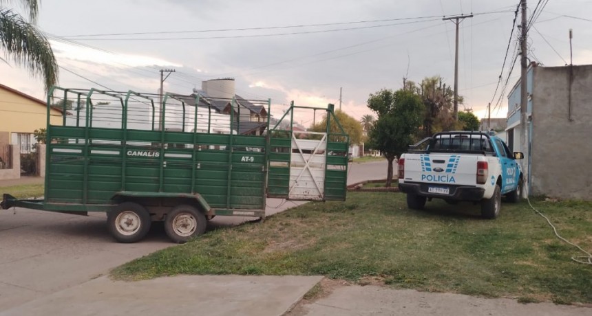 5 EQUINOS FUERON SECUESTRADOS POR PERSONAL POLICIAL EN EL OPERATIVO DE BLINDAJE RURAL