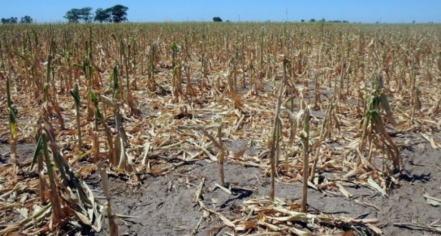 LA AFIP CONFIRM&Oacute; LA CONTINUIDAD DE LOS BENEFICIOS DE LA EMERGENCIA AGROPECUARIA
