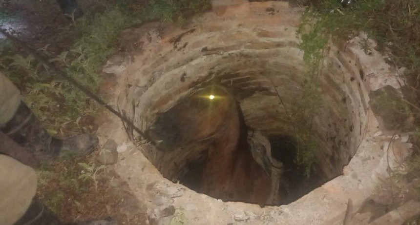 Villa &Aacute;ngela: RESCATAN UN CABALLO QUE CAY&Oacute; DENTRO DE UN POZO 