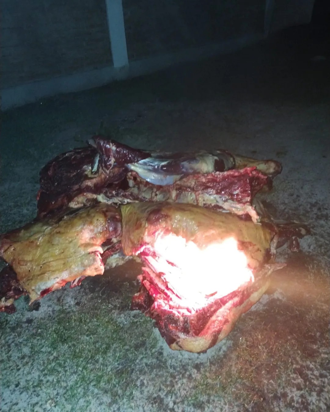 Samuh&uacute;: TRANSPORTABA CARNE FAENADA SIN EL CUIDADO DEBIDO