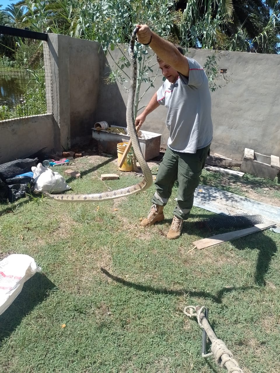 Villa &Aacute;ngela: BOMBEROS LIBERAN A UNA SERPIENTE A SU H&Aacute;BITAT NATURAL