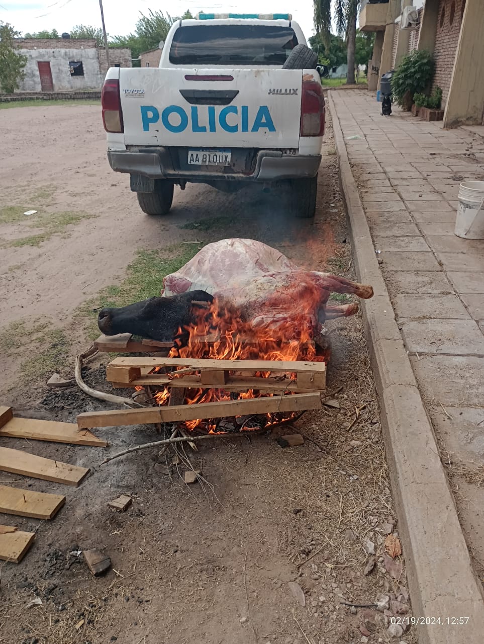 Cnel. Du Graty: UN LLAMADO ALERT&Oacute; AL PERSONAL POLICIAL SOBRE UNA FAENA CLANDESTINA