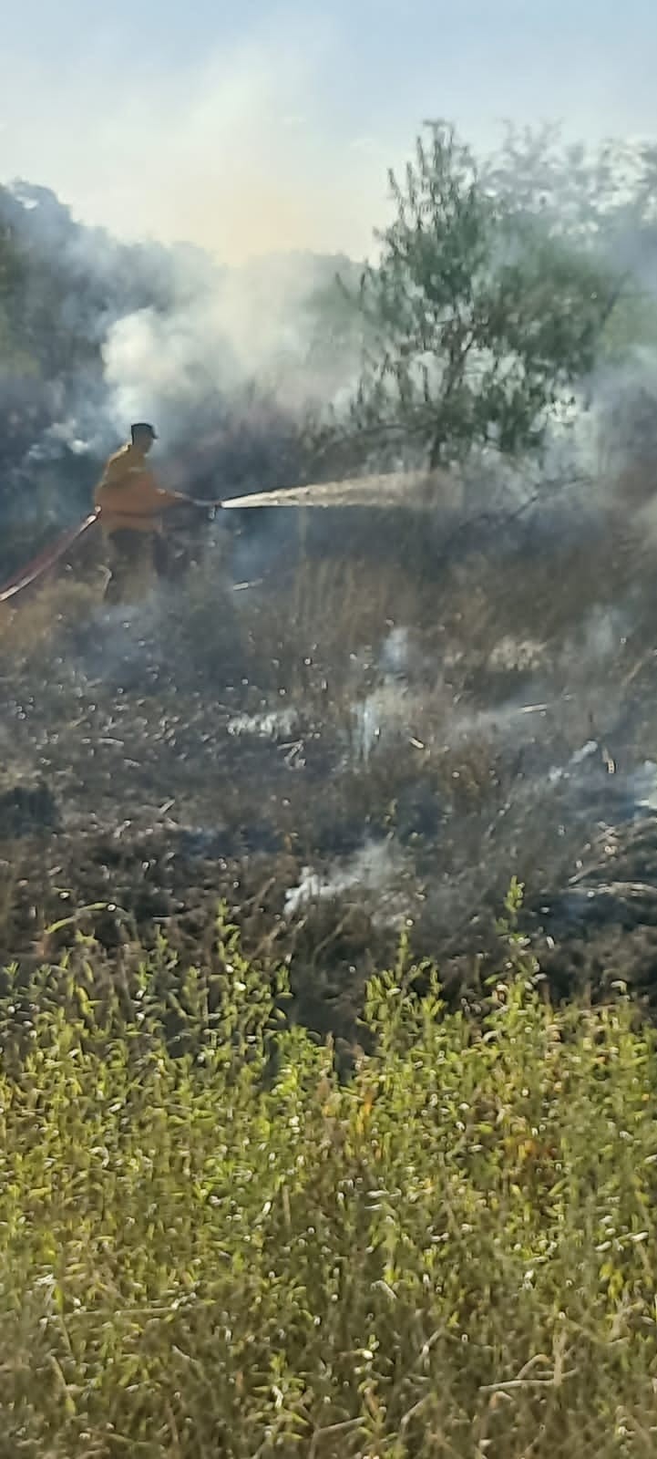 Acceso Norte: Un incendio sobre la banquina afecto 80 M² de terreno