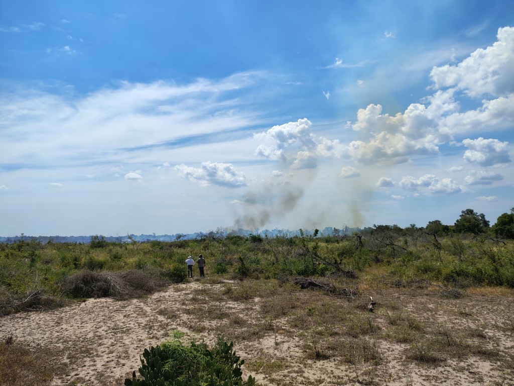 Villa Berthet: BOMBEROS SOFOCARON UN INCENDIO FORESTAL EN DONDE SE AFECTO 30 HECTÁREAS 